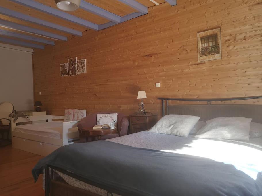 Mimi Pinson Bugey Ideale Deplacement Pro/tourisme *